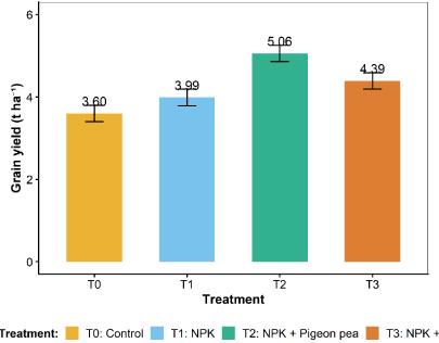 Integrated Use of Pigeon Pea Residues and Mineral Fertilizers Enhances Rainfed Rice Productivity and Soil Health in a Humid Forest Zone