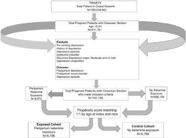 Comparison of Postpartum Depression Incidence in Patients Undergoing Cesarean Section with and Without Ketamine Use: A Retrospective Cohort Study
