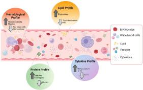 The Therapeutic Applications of Brazilian Women's Breast Milk in the Management of Adult Type 2 Diabetes