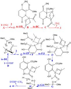 Theoretical Investigation on Lewis/Brønsted Acid Catalyzed Modulation of BCB Reactive Site in Synthesis of Spirocyclic and Bicyclic Framework