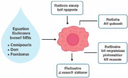 The Effect of Egyptian Women’s Breast Milk on the Breakdown of Liver Tumor Cells