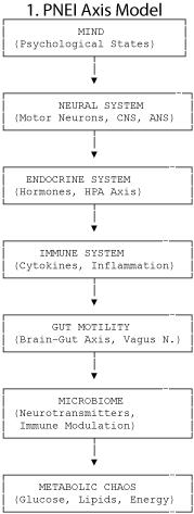 The Psycho-Neuro-Endocrine-Immune (PNEI) Axis: Unravelling the Intricate Link Between Mind, Motor Neurons, Master Immune-Endocrines, Motility, Microbiome and Metabolic Chaos