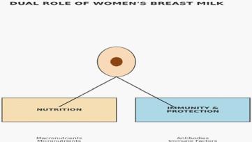 The Dual Role of Women’s Breast Milk in Reproduction, Sexuality, and Adult Health