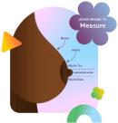 Psychological and Sociocultural Factors Influencing Preferences for Physical Attributes in Men and Women